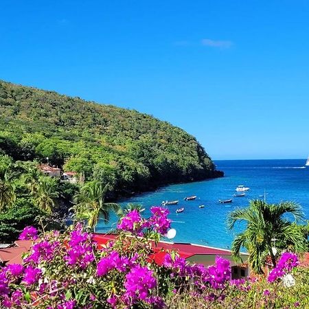 Ti-Hibiscus Bungalow T1 Clim-Wifi 30M2 2 Pers Grande Savane Buitenkant foto
